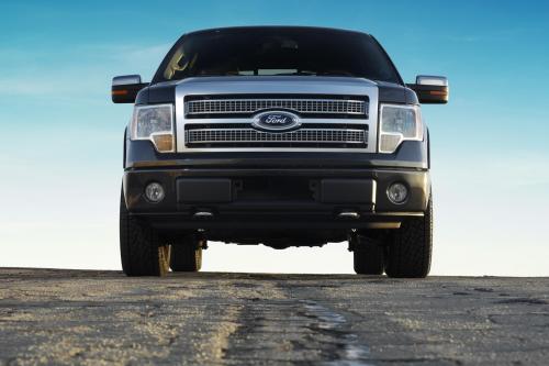 Ford F-150 (2009) - picture 8 of 18