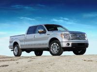 Ford F-150 (2009) - picture 7 of 18