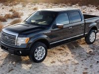 Ford F-150 (2009) - picture 13 of 18