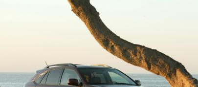 Lexus RX 350 (2009) - picture 4 of 9