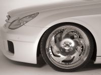 Mercedes-Benz CLS White Label (2009) - picture 35 of 72