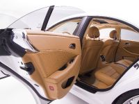 Mercedes-Benz CLS White Label (2009) - picture 61 of 72