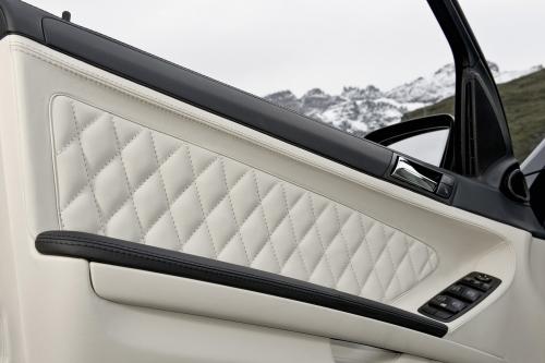 Mercedes-Benz ML63 AMG Performance Studio (2009) - picture 24 of 39