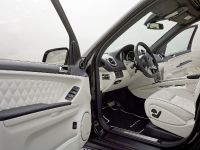 Mercedes-Benz ML63 AMG Performance Studio (2009) - picture 19 of 39