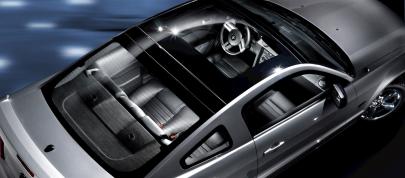 Mustang (2009) - picture 4 of 9