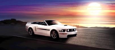 Mustang (2009) - picture 7 of 9