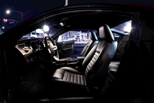 Mustang (2009) - picture 8 of 9