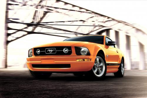 Mustang (2009) - picture 9 of 9