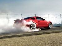 Mustang (2009) - picture 2 of 9