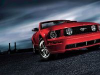 Mustang (2009) - picture 5 of 9