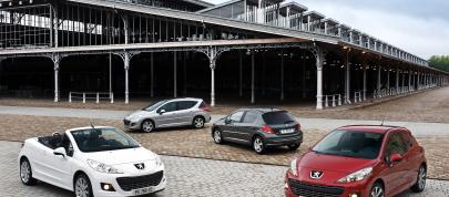 Peugeot 207 (2009) - picture 4 of 5