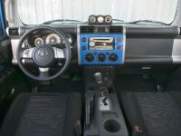 Toyota FJ Cruiser (2009) - picture 6 of 18