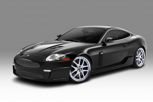 Arden Jaguar XKR AJ20 Wild Cat (2010) - picture 1 of 4