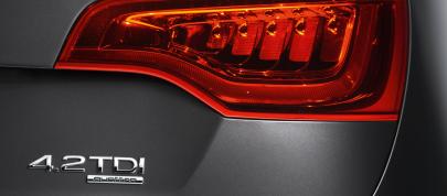 Audi Q7 4.2 TDI (2010) - picture 12 of 25