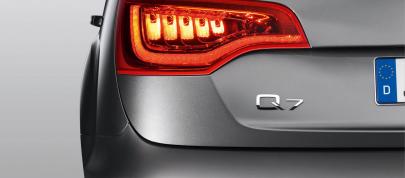 Audi Q7 4.2 TDI (2010) - picture 15 of 25