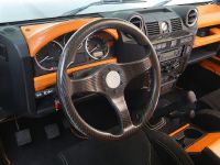 Aznom Land Rover (2010) - picture 10 of 11