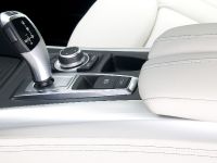 BMW ActiveHybrid X6 (2010)