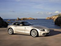 Bmw Z4 Roadster (2010)