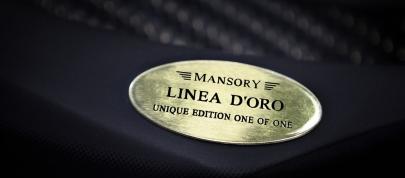 Bugatti Veyron Linea Vincero d'Oro (2010) - picture 15 of 20