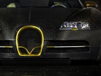 Bugatti Veyron Linea Vincero d'Oro (2010) - picture 6 of 20