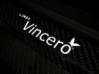 Bugatti Veyron Linea Vincero d'Oro (2010) - picture 10 of 20