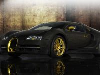 Bugatti Veyron Linea Vincero d'Oro (2010) - picture 11 of 20