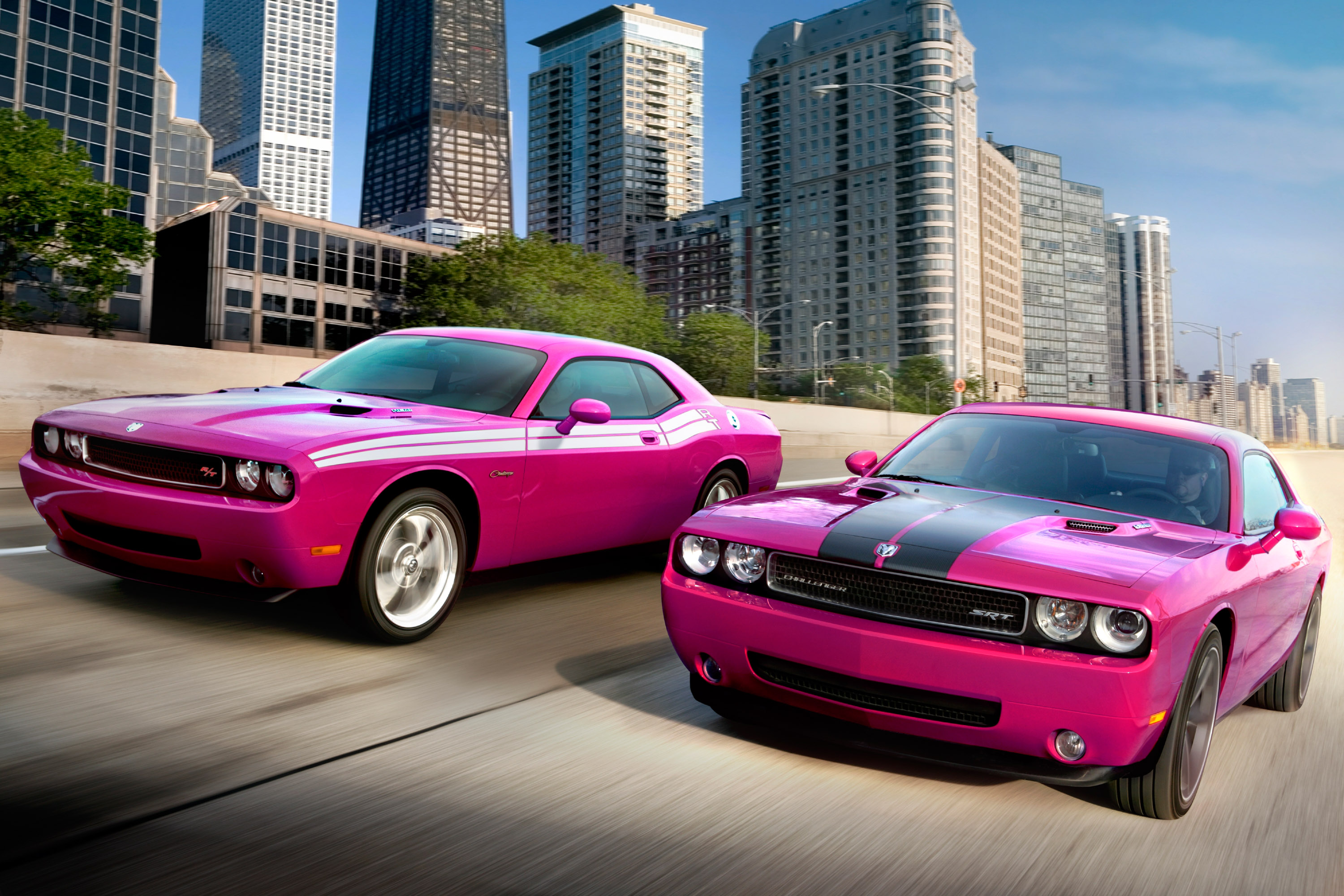 Dodge Challenger Furious Fuchsia