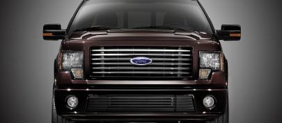Ford Harley-Davidson F-150 (2010) - picture 4 of 17