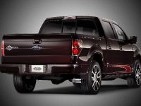 Ford Harley-Davidson F-150 (2010) - picture 2 of 17