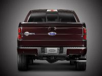 Ford Harley-Davidson F-150 (2010) - picture 5 of 17
