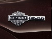 Ford Harley-Davidson F-150 (2010) - picture 11 of 17