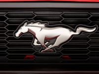 Ford Mustang (2010) - picture 43 of 60