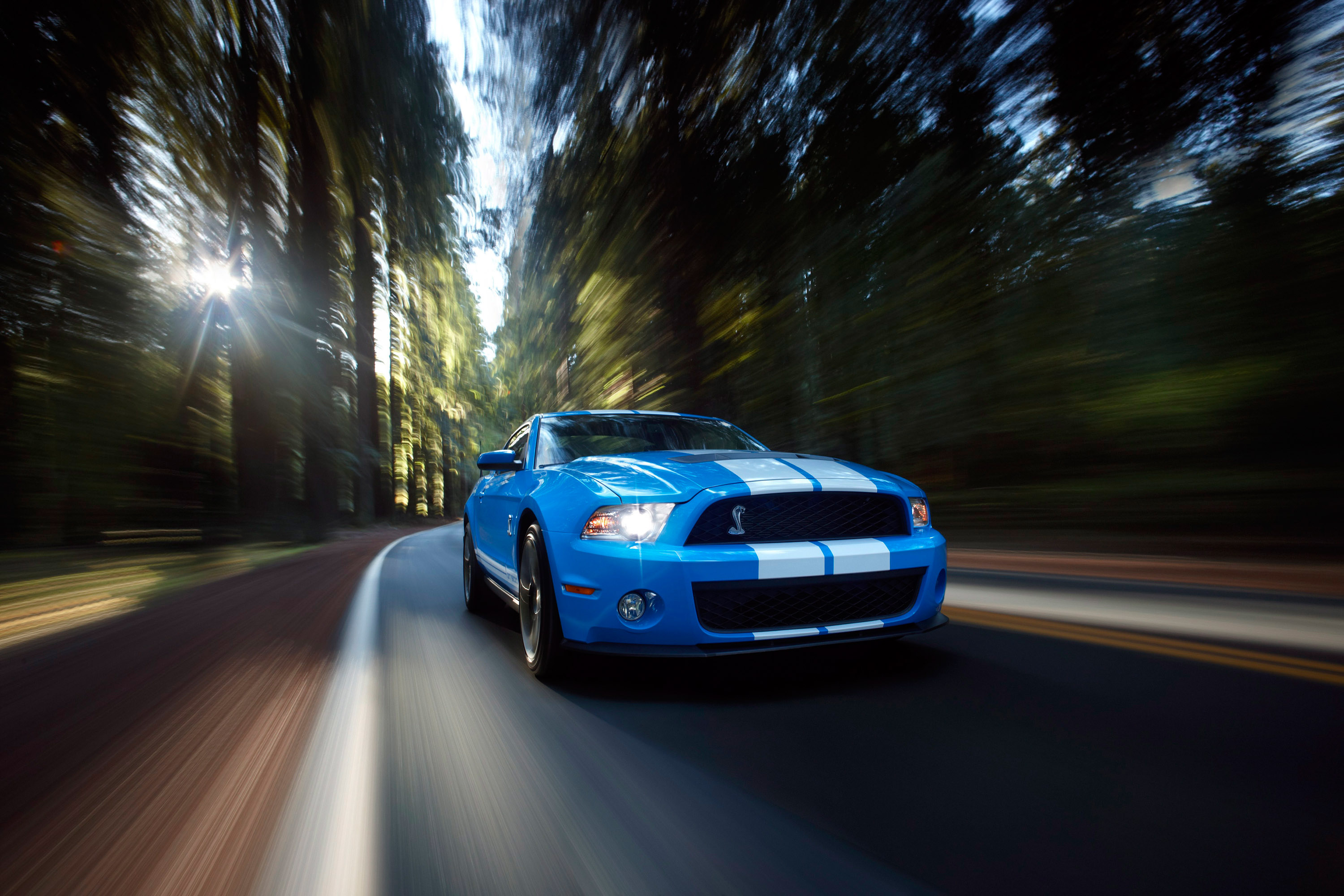 Ford Shelby GT500