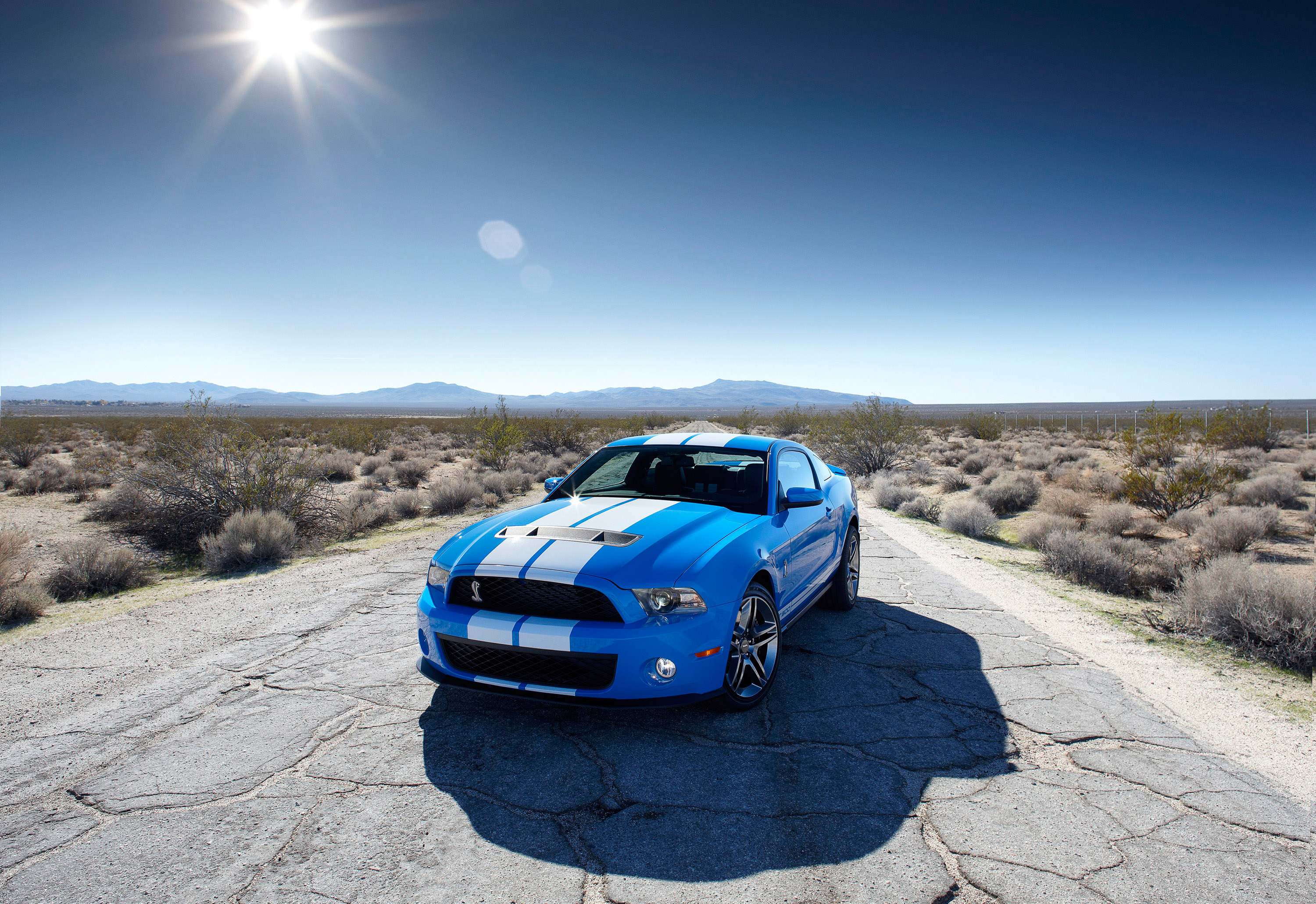 Ford Shelby GT500