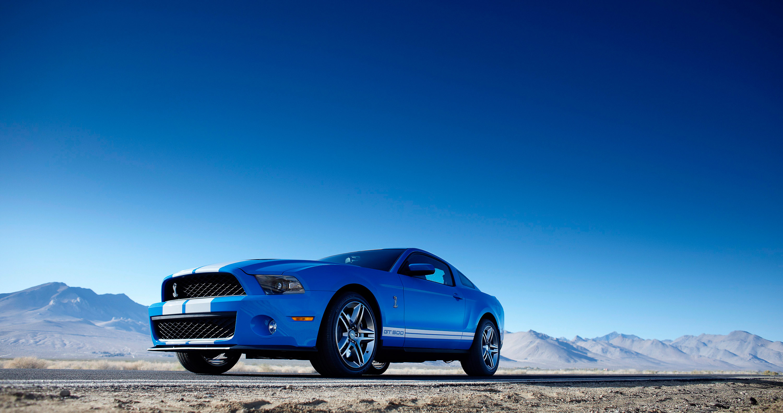 Ford Shelby GT500