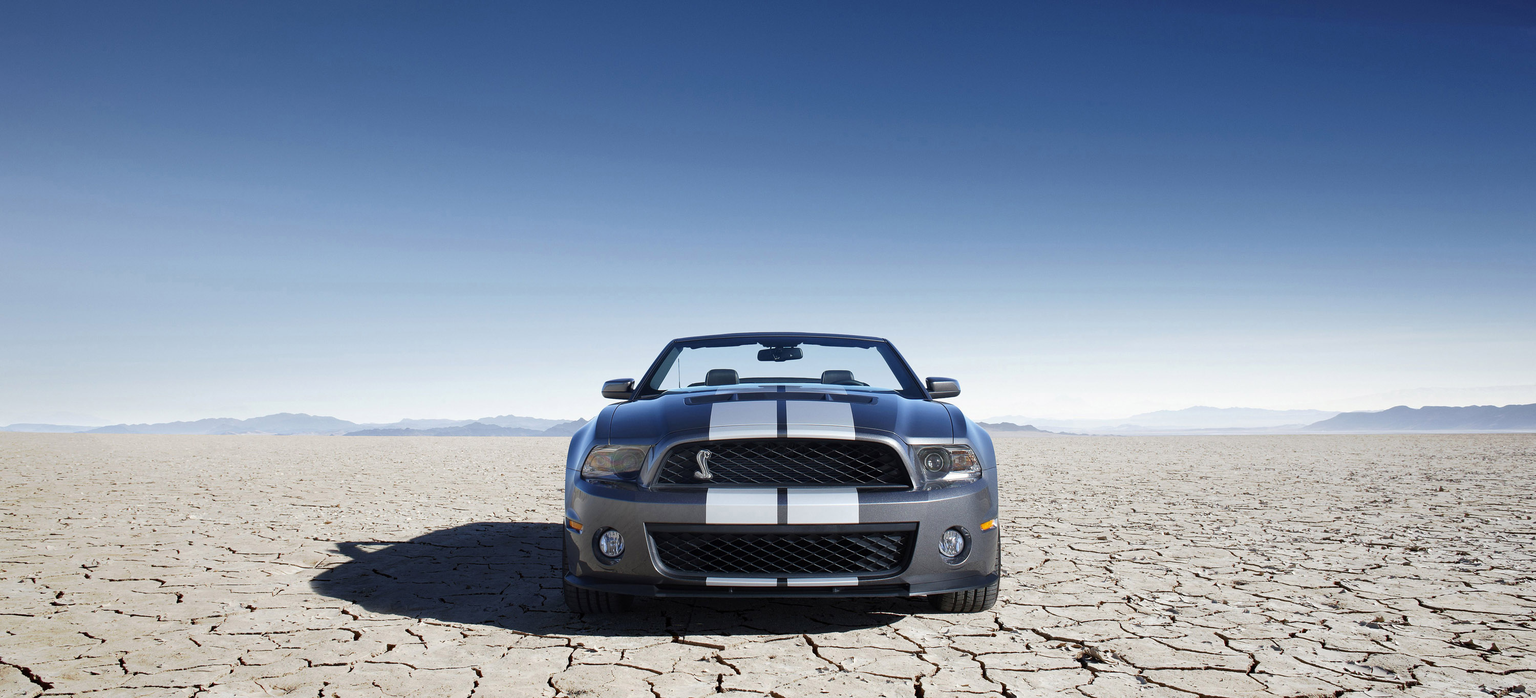 Ford Shelby GT500