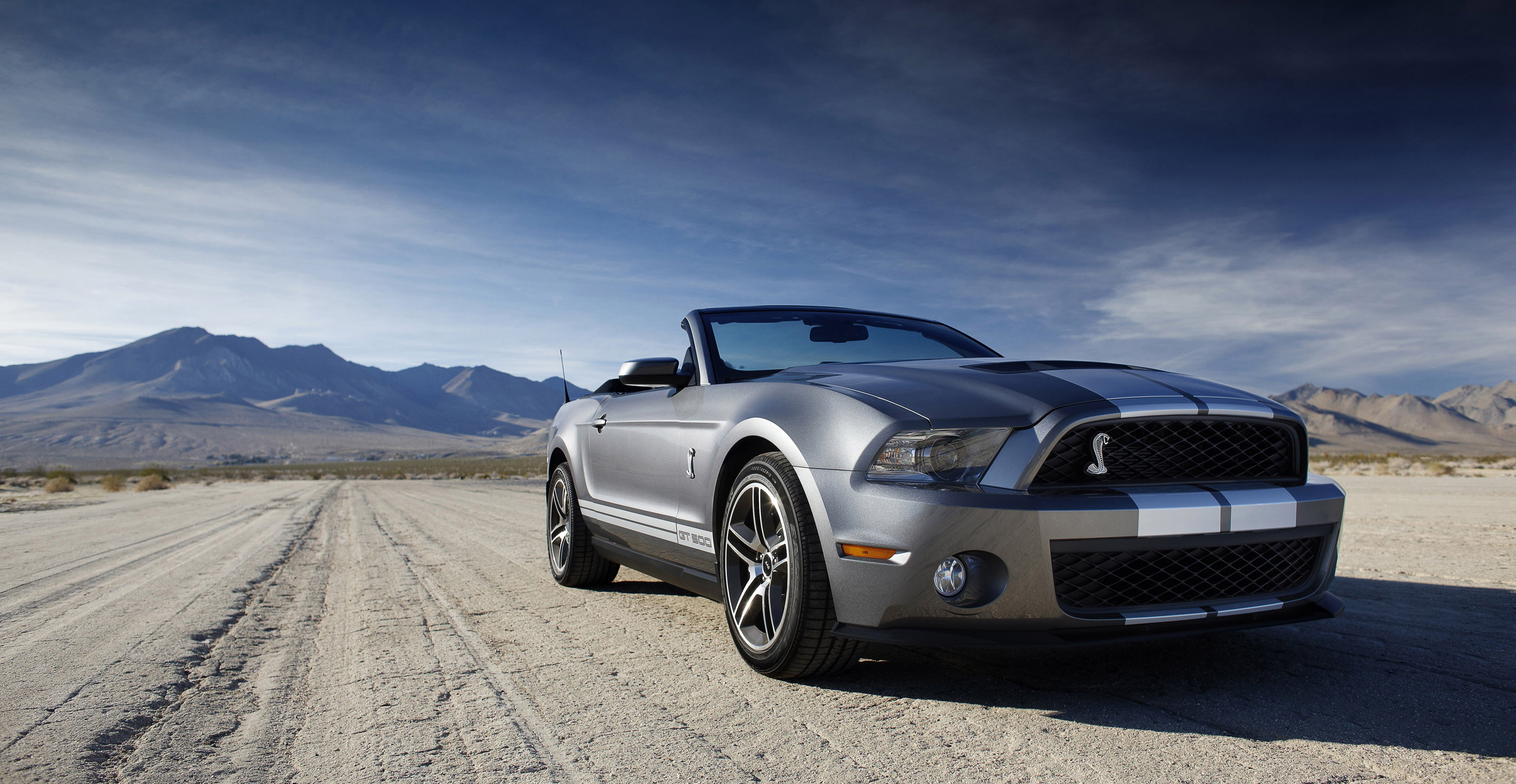 Ford Shelby GT500