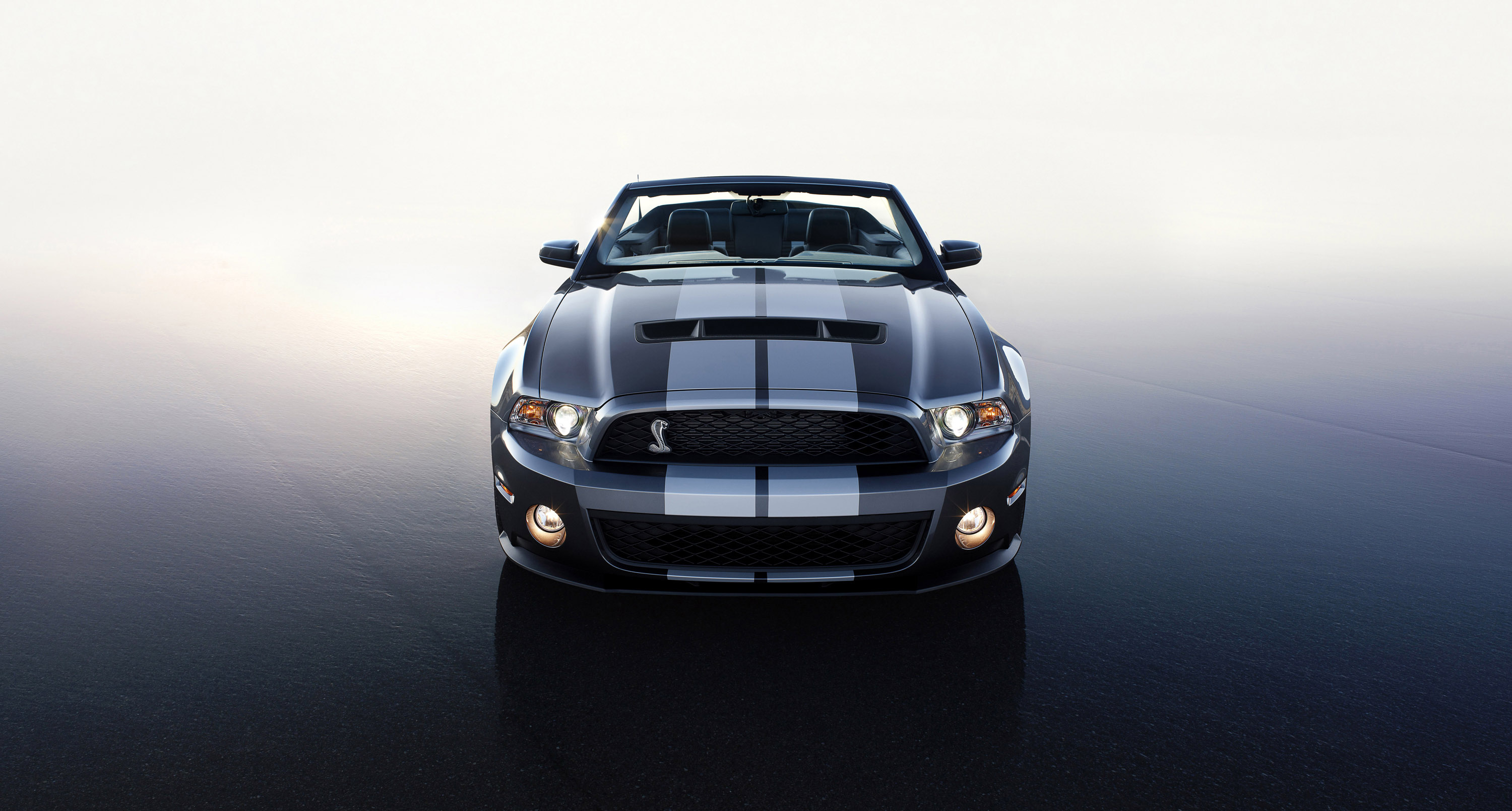 Ford Shelby GT500