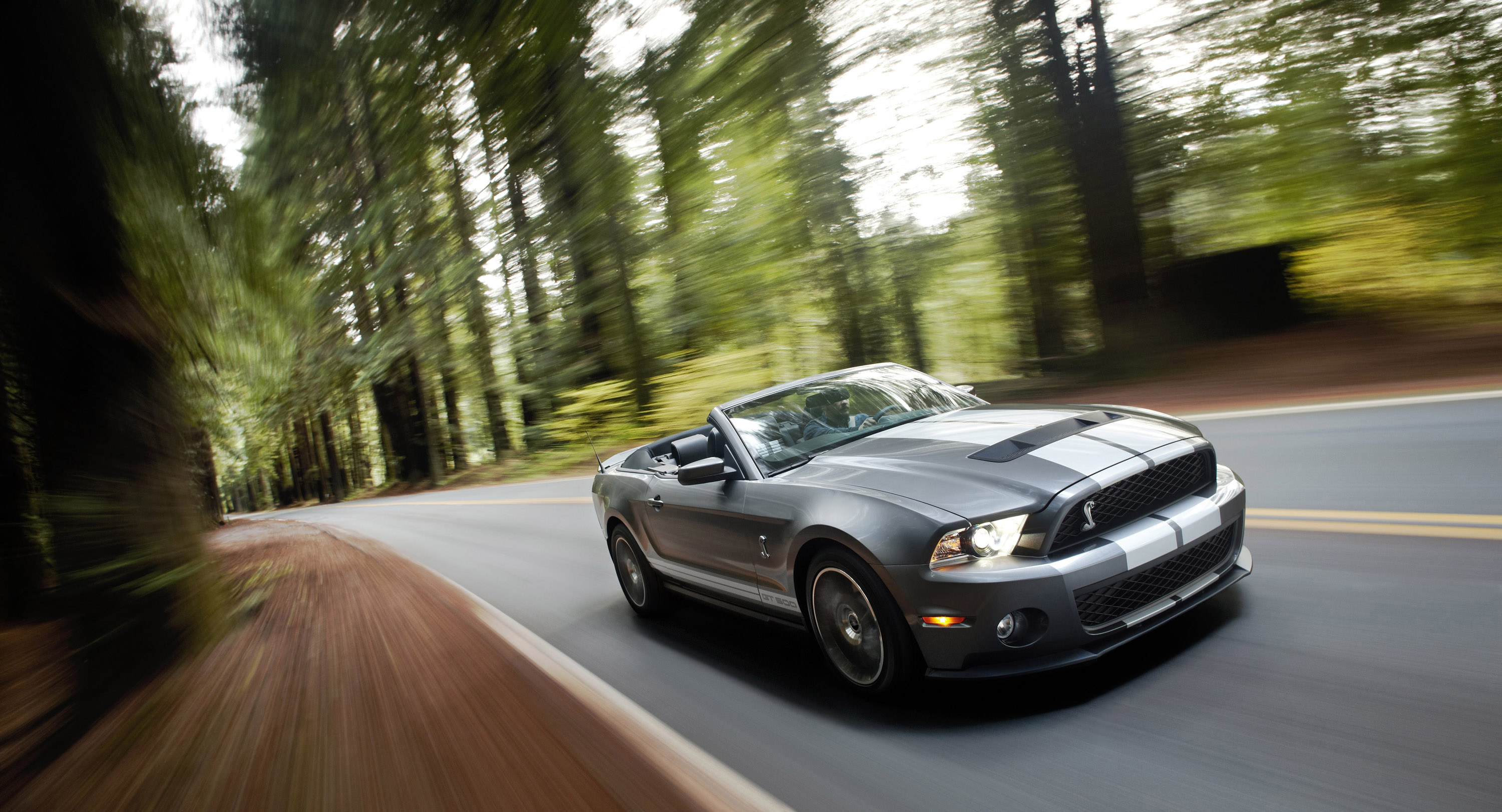 Ford Shelby GT500