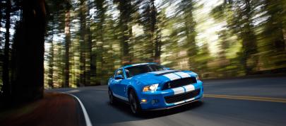 Ford Shelby GT500 (2010) - picture 4 of 68