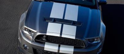 Ford Shelby GT500 (2010) - picture 15 of 68
