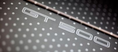 Ford Shelby GT500 (2010) - picture 20 of 68
