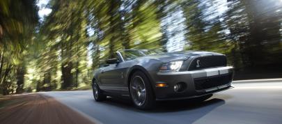 Ford Shelby GT500 (2010) - picture 39 of 68
