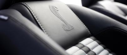 Ford Shelby GT500 (2010) - picture 63 of 68