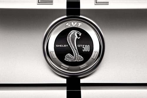 Ford Shelby GT500 (2010) - picture 24 of 68