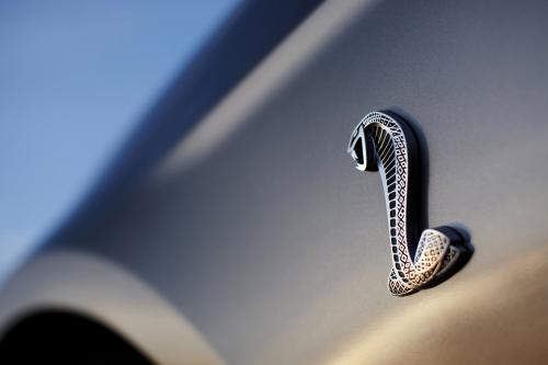 Ford Shelby GT500 (2010) - picture 56 of 68