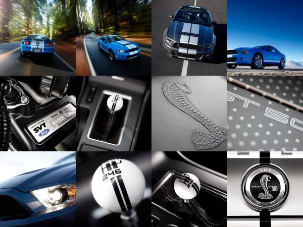 Ford Shelby GT500 (2010) - picture 13 of 68