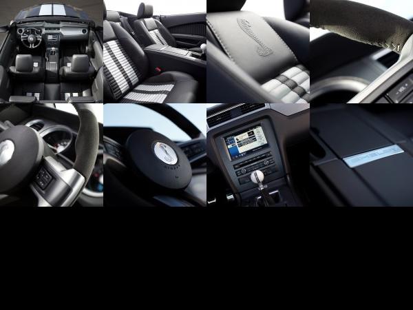 Ford Shelby GT500 (2010) - picture 61 of 68
