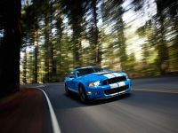 Ford Shelby GT500 (2010)