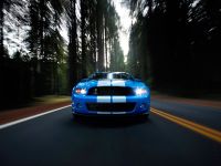 Ford Shelby GT500 (2010) - picture 5 of 68